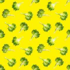 无缝的模式生菜绿色叶子沙拉frillice沙拉孤立的黄色的冰山沙拉叶平躺
