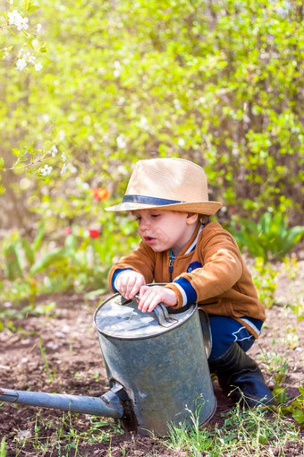 可爱的蹒跚学步的男孩他橡胶靴子浇水植物浇水花园迷人的<strong>孩子</strong>帮助父母<strong>成长</strong>蔬菜