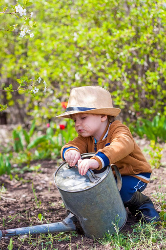 可爱的蹒跚学步的男孩他橡胶靴子<strong>浇水</strong>植物<strong>浇水</strong>花园迷人的孩子帮助父母成长蔬菜
