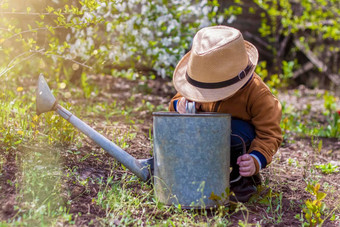 可爱的蹒跚学步的男孩他橡胶靴子浇水植物浇水花园迷人的<strong>孩子</strong>帮助父母<strong>成长</strong>蔬菜