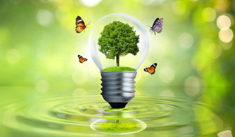 灯泡位于内部叶子森林树光概念环境保护全球气候变暖植物日益增长的内部灯灯泡干