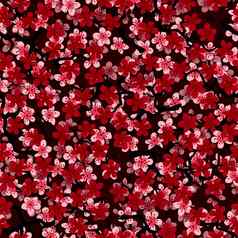 无缝的模式开花日本樱桃樱花分支机构织物包装壁纸纺织装饰设计邀请打印礼物包装制造业粉红色的红色的花黑色的背景