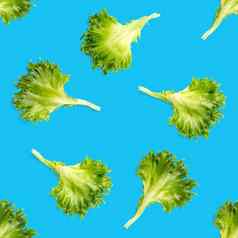 无缝的模式生菜绿色叶子沙拉frillice沙拉孤立的蓝色的冰山沙拉叶平躺