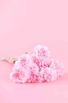 母亲的一天假期礼物设计概念粉红色的康乃馨花花束问候卡孤立的光粉红色的背景复制空间