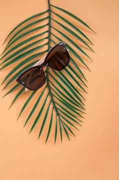 太阳镜出售概念太阳镜橙色背景热带叶子