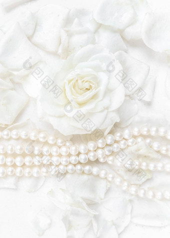 美丽的白色玫瑰珍珠项链背景花瓣理想的问候卡片婚礼生日情人节一天母亲的一天