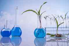 化学实验室玻璃器皿基因修改植物