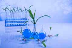 生物技术概念植物实验室实验