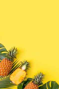美丽的菠萝热带棕榈monstera叶子孤立的明亮的柔和的黄色的背景前视图平躺开销夏天水果