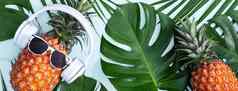 有趣的菠萝穿白色耳机概念听音乐孤立的彩色的背景热带棕榈叶子前视图平躺设计