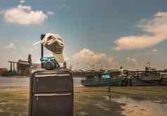 假期旅行手提箱行李袋帽照片相机太阳眼镜码头天空河船背景