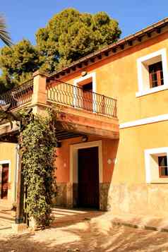 典型的色彩斑斓的房子棕榈果园驼鹿西班牙