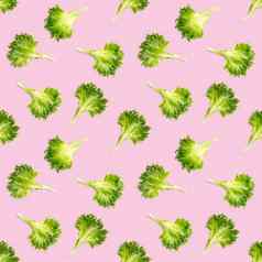 无缝的模式生菜绿色叶子沙拉frillice沙拉孤立的粉红色的冰山沙拉叶平躺