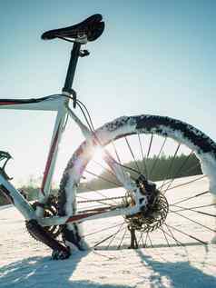 后轮脂肪自行车冬天小道太阳蓝色的天空