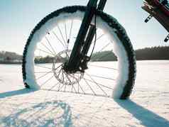 关闭自行车轮白色雪骑自行车极端的冬天条件