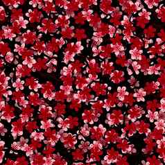 无缝的模式开花日本樱桃樱花分支机构织物包装壁纸纺织设计邀请打印礼物包装制造业粉红色的红色的花黑色的背景