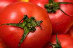 关闭成熟的红色的番茄西红柿背景