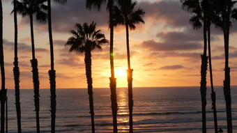 手掌《暮光之城》天空加州美国热带海洋海滩日落<strong>大气</strong>这些洛杉矶共鸣