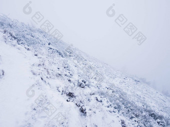 傲慢的山坡上极端的地形新鲜的粉雪路径隐藏的重雾