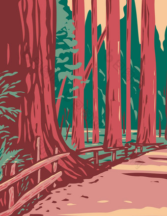红杉大道巨人包围洪堡红杉状态公园位于阿克塔加州水渍<strong>险</strong>海报艺术