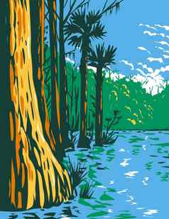 亚热带湿地埃弗格莱兹国家公园状态佛罗里达水渍险海报艺术