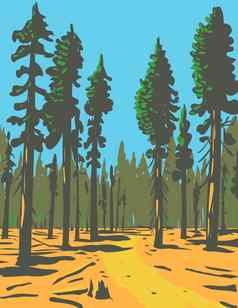 巨大的杉日益增长的一般格兰特小道格罗夫部分更大的国王峡谷国家公园位于加州水渍险海报艺术