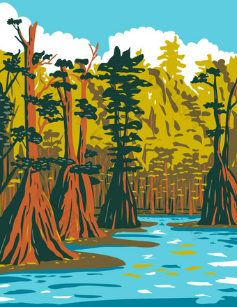 baldcypress树日益增长的南部沼泽阿巴拉契科拉国家森林位于佛罗里达狭长地带水渍险海报艺术