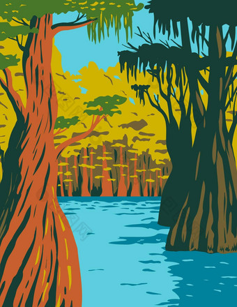 秃柏树日益增长的沼泽猫头鹰溪阿巴拉契科拉国家森林位于佛罗里达狭长地带水渍险海报艺术