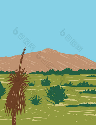 林康峰林康山仙人掌国家公园林康山荒野coronado国家森林亚利桑那州水渍险海报艺术