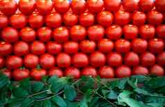 红色的成熟的美味的新鲜的美味的番茄蔬菜集市市场