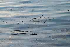 垃圾海表面海洋环境污染