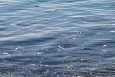 垃圾海表面海洋环境污染