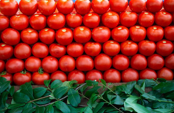 红色的成熟的<strong>美味</strong>的新鲜的<strong>美味</strong>的番茄蔬菜集市市场