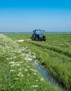 拖拉机草地夏天花割草草蓝色的天空荷兰