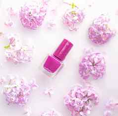 淡紫色指甲波兰的分支淡紫色瓶指甲波兰的概念广告产品油漆美时尚指甲护理