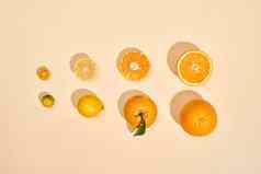 柑橘类水果白色背景金橘柠檬普通话橙色柔和的背景图像