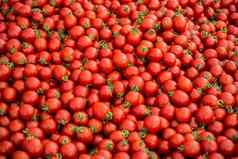 红色的成熟的美味的新鲜的美味的番茄蔬菜集市市场