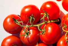 群红色的成熟的美味的新鲜的樱桃Tomatos