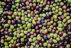 新收集橄榄健康食物市场