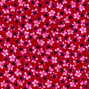 无缝的模式开花日本樱桃樱花织物包装壁纸纺织装饰设计邀请打印礼物包装制造业粉红色的樱红色花红色的背景