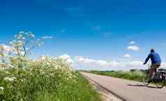 男人。自行车通过白色夏天花国家路梅多斯荷兰蓝色的夏天天空
