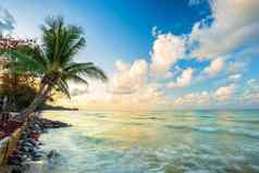 美丽的早期早....日出椰子树海地平线他潮老挝海滩尖竹汶府泰国