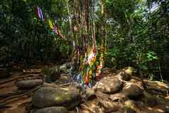神圣的树石头足迹主佛khitchakut山主要旅游吸引力尖竹汶府泰国