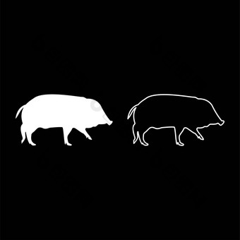 野生野猪猪等猪猪科其有长牙的动物scrofa轮廓白色颜色向量插图固体大纲风格图像