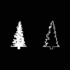 冷杉树圣诞节松柏科的云杉松森林常绿森林针叶树轮廓白色颜色向量插图固体大纲风格图像