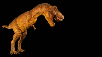 暴龙雷克斯霸王龙走开放口复制空间网站一边视图黑色的孤立的背景恐龙侏罗纪周期<strong>嵌入</strong>式剪裁路径