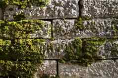 白色石头墙杂草丛生的绿色莫斯纹理背景
