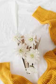 前视图书白色菊花花白色背景黄色的毛衣