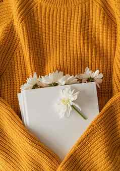 前视图书白色菊花花黄色的毛衣