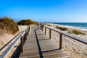 木路径科斯塔新星除唤作葡萄牙沙子沙丘海洋视图夏天晚上木人行桥科斯塔新星海滩阳光明媚的一天唤作葡萄牙